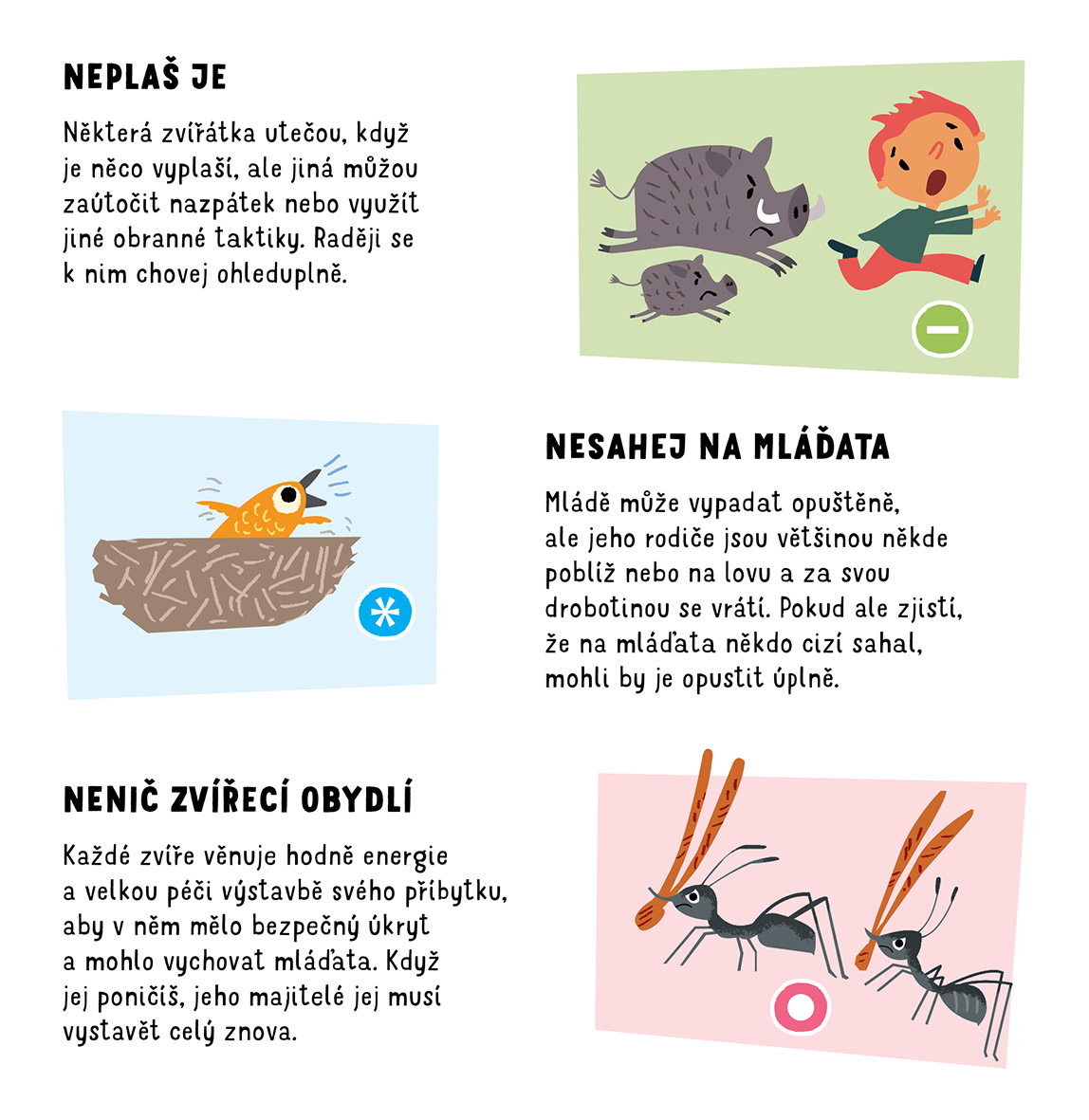 V přírodě: Chováš se k ní s respektem?