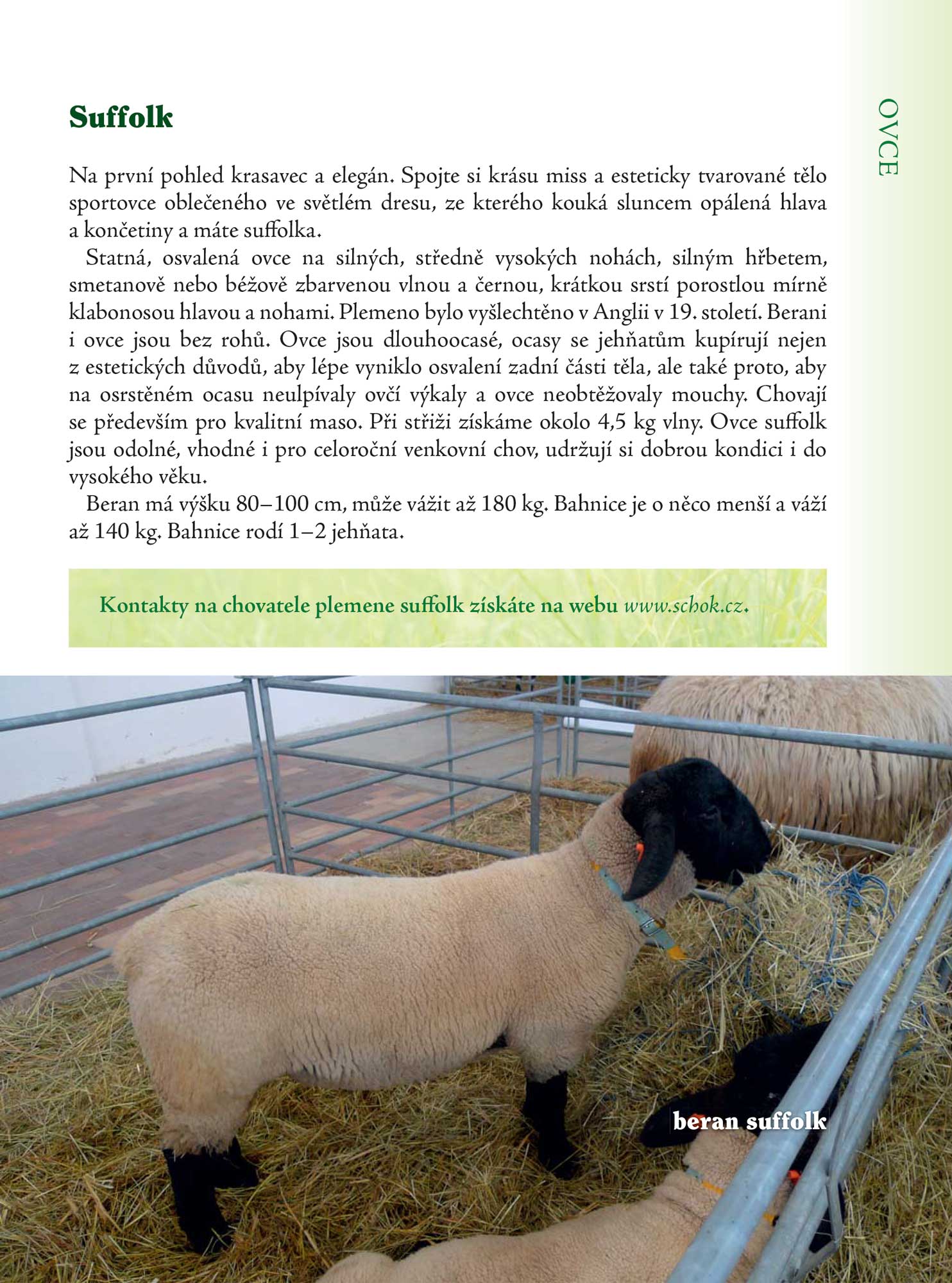 Zvířata v zahradě - pro radost i užitek