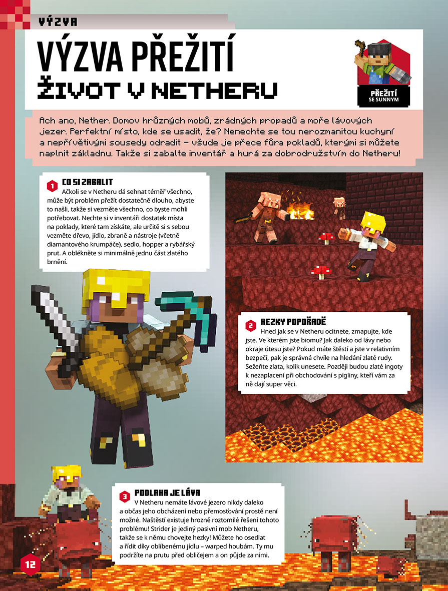 Minecraft - Knížka na celý rok 