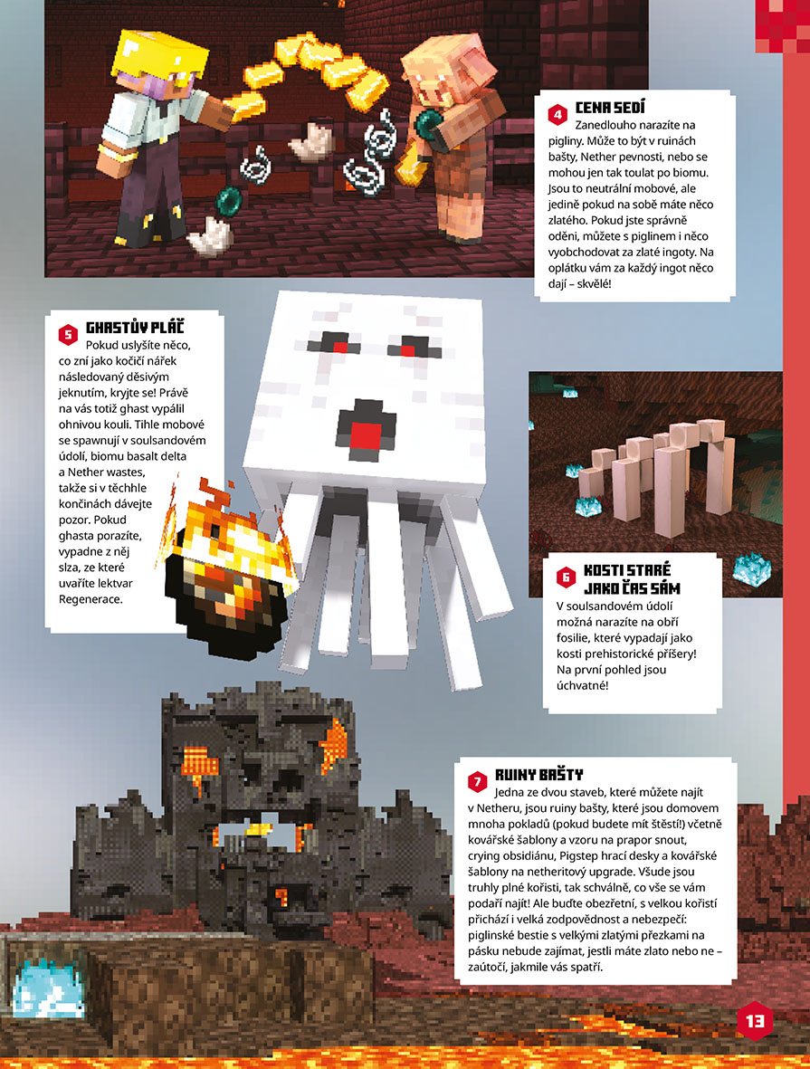 Minecraft - Knížka na celý rok 