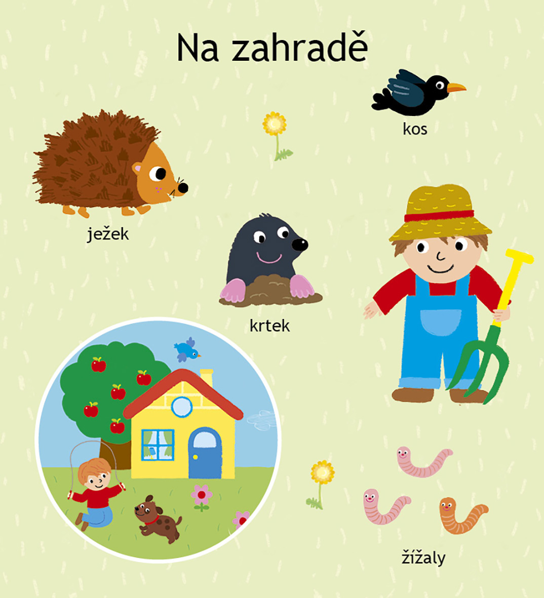 Co je to? - Zvířátka
