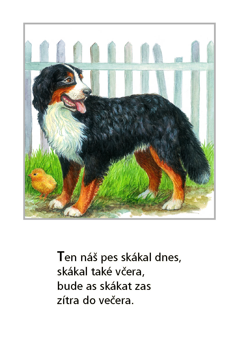 Lidová říkadla o zvířátkách