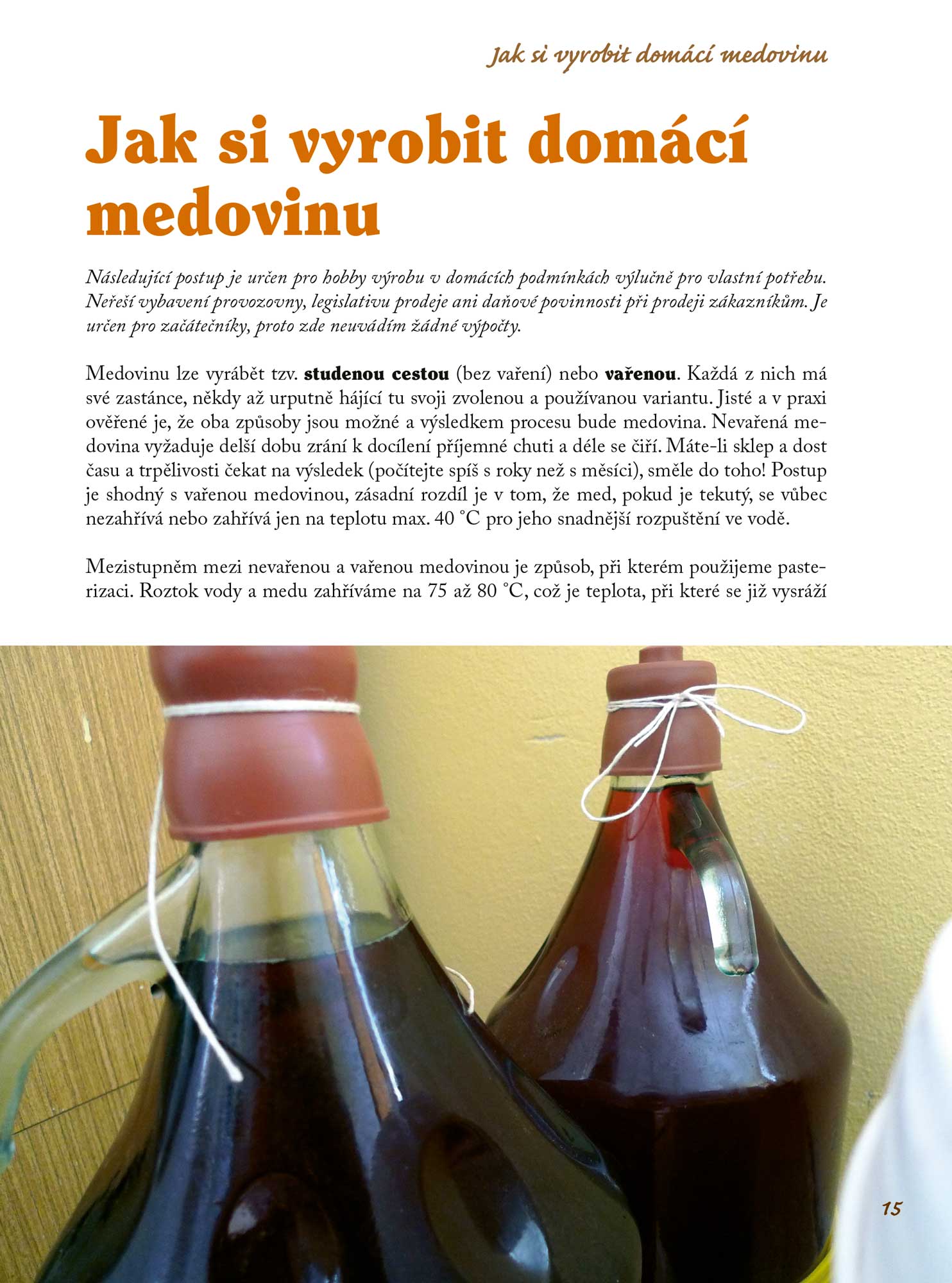 Domácí medová kuchařka 