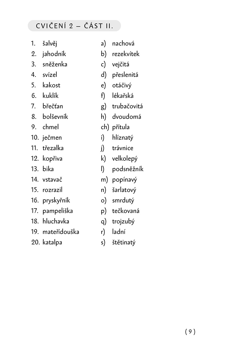 Mozkocvična 2