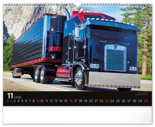Trucks 2025 - nástěnný kalendář