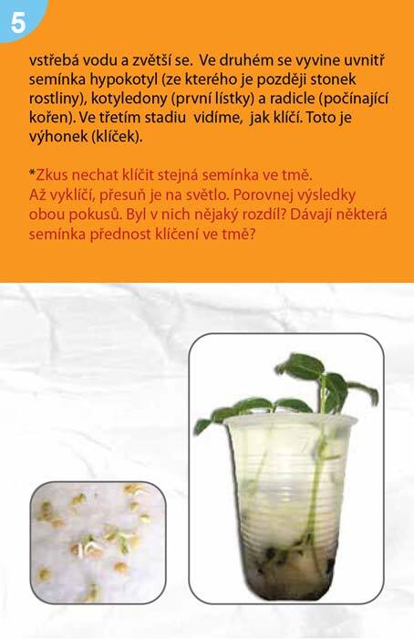 Věda, kouzla, pokusy Mladí badatelé
