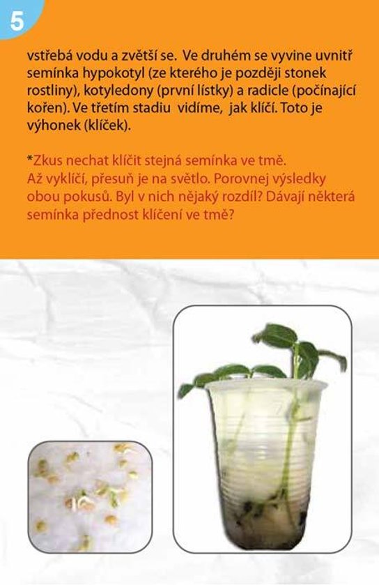 Věda, kouzla, pokusy Mladí badatelé