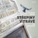 Střepiny v trávě
