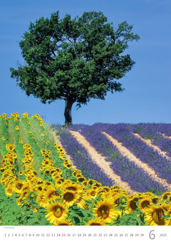 Provence 2025 - nástěnný kalendář