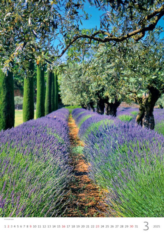 Provence 2025 - nástěnný kalendář