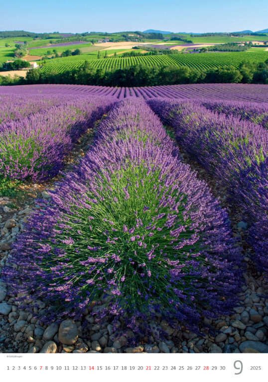 Provence 2025 - nástěnný kalendář