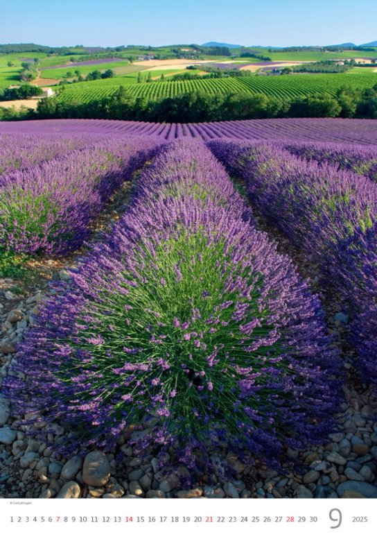 Provence 2025 - nástěnný kalendář