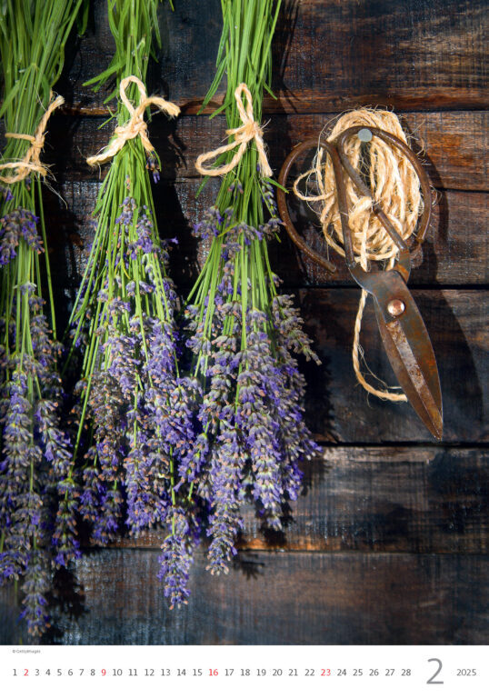 Provence 2025 - nástěnný kalendář