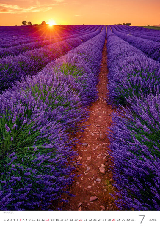 Provence 2025 - nástěnný kalendář