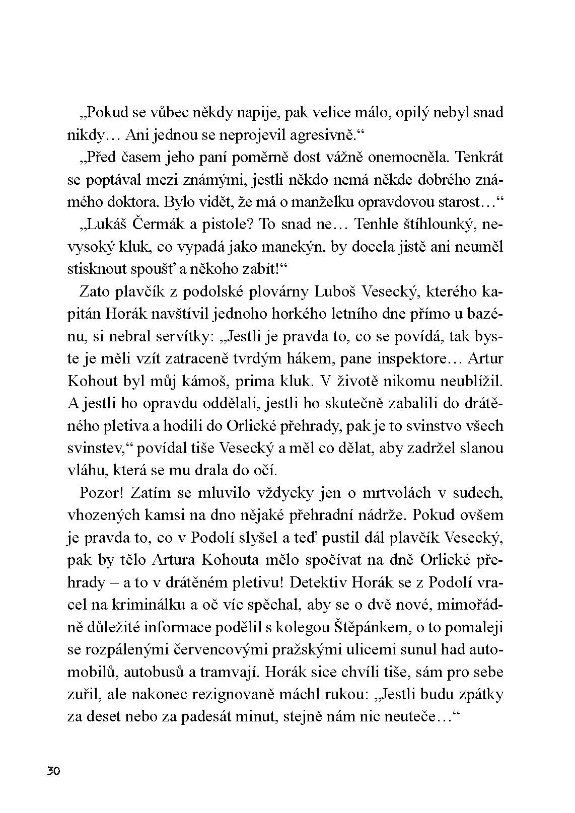 Orlické vraždy: Akce Přehrada očima vyšetřovatele
