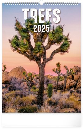 Stromy 2025 - nástěnný kalendář