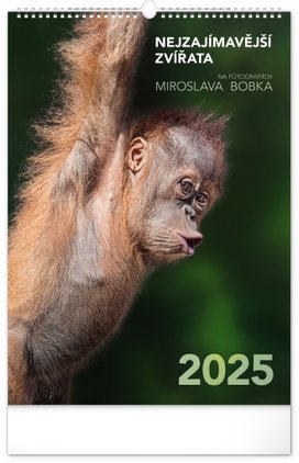 Nejzajímavější zvířara 2025 - nástěnný kalendář