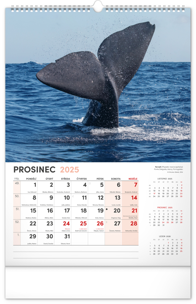 Nejzajímavější zvířara 2025 - nástěnný kalendář