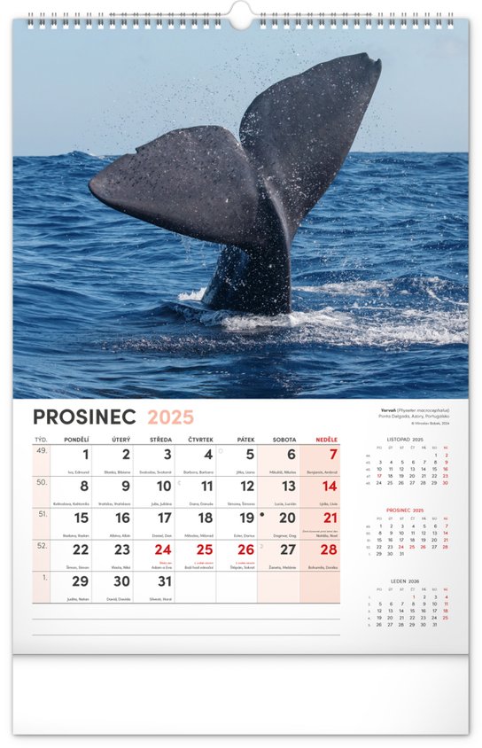 Nejzajímavější zvířara 2025 - nástěnný kalendář