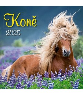 Koně 2025 - nástěnný kalendář