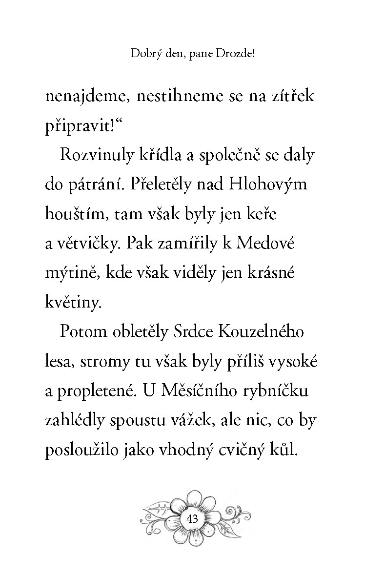 Zvířátka z Kouzelného lesa – Veverka Viki