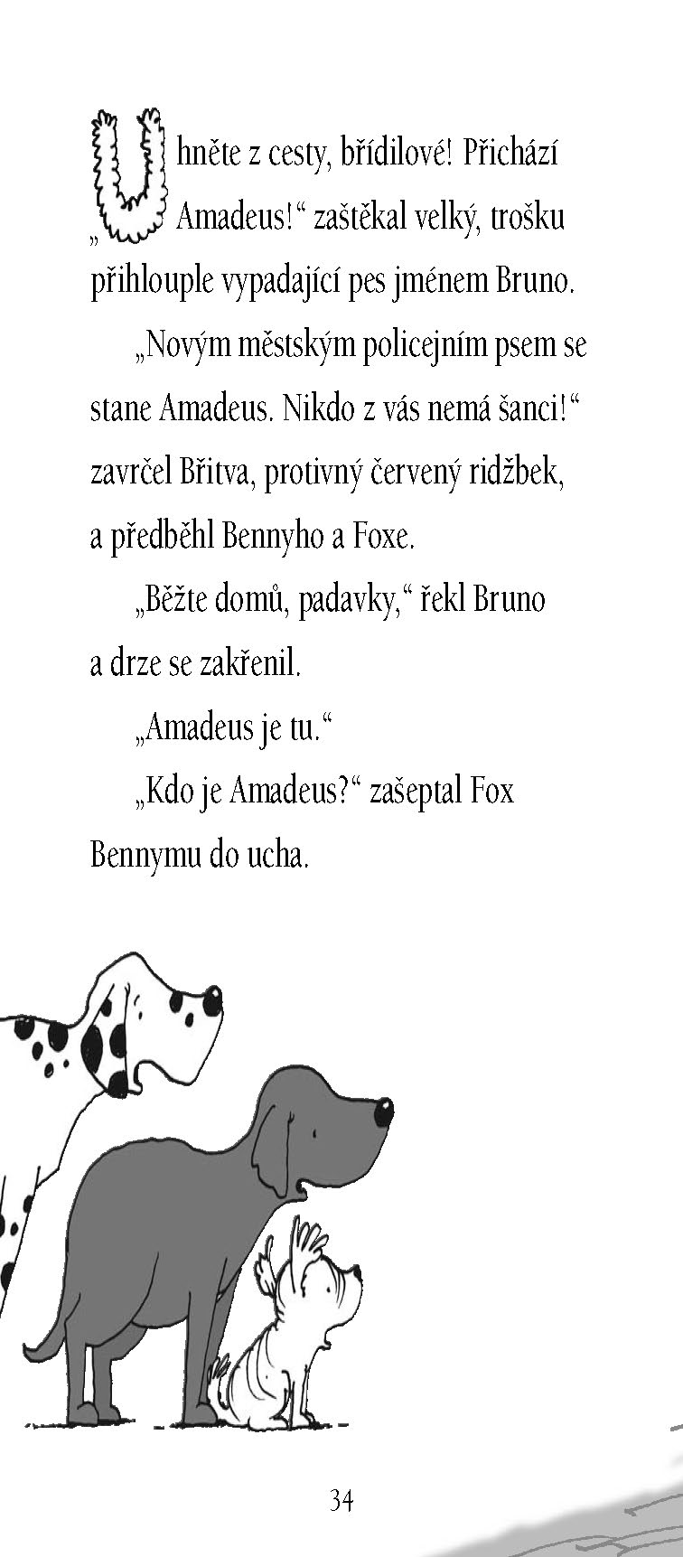FOX – Policejní nábor