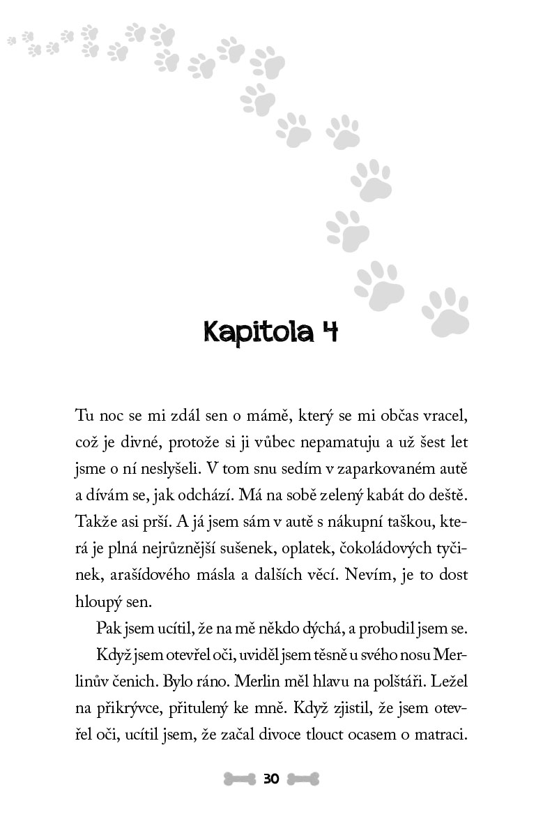 Psí průšviháři - Retrívr věčně na útěku