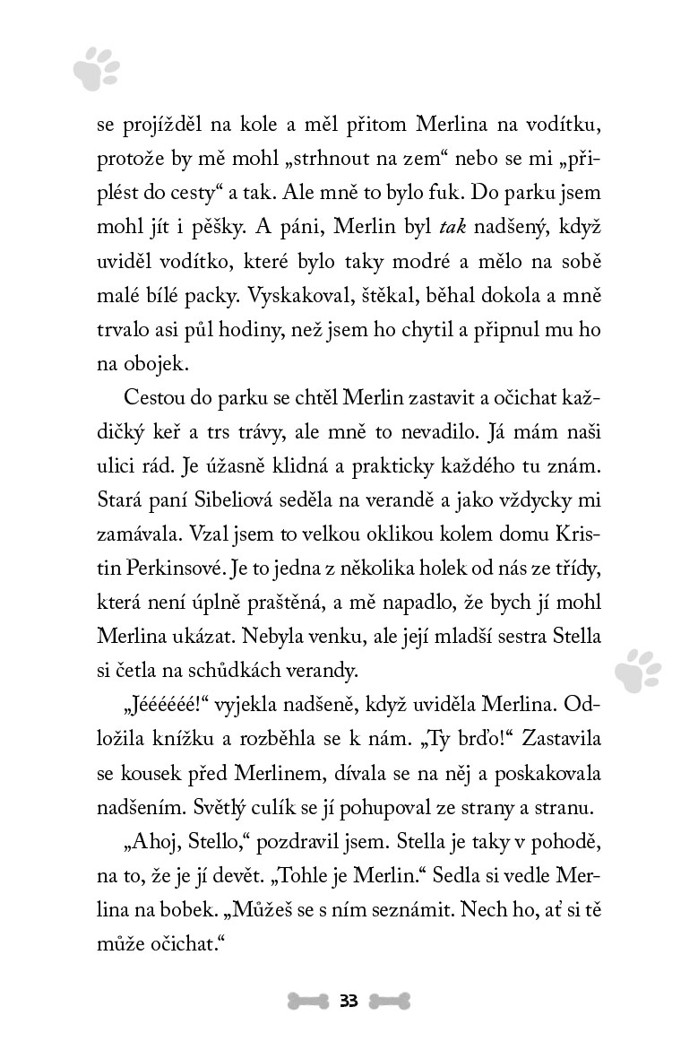Psí průšviháři - Retrívr věčně na útěku