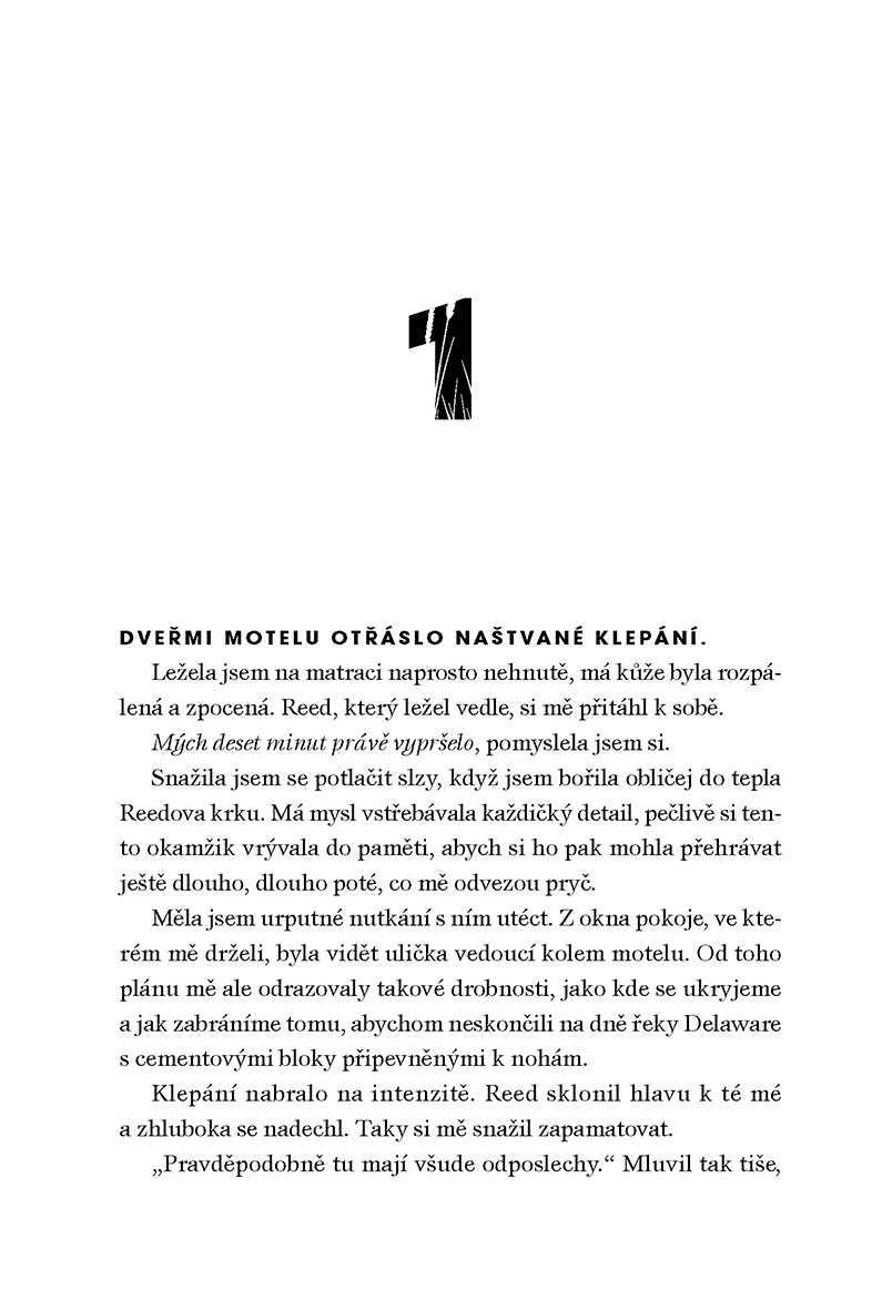Nebezpečné lži