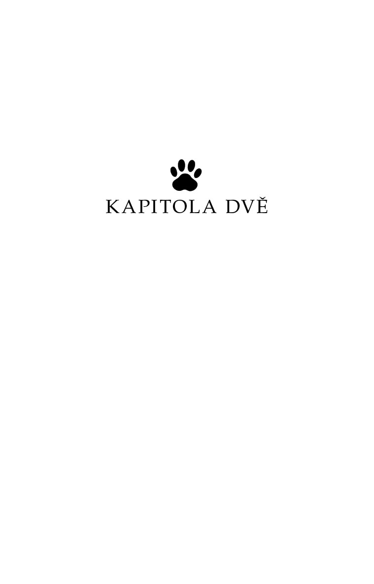 Charlie - kotě, které zachránilo život