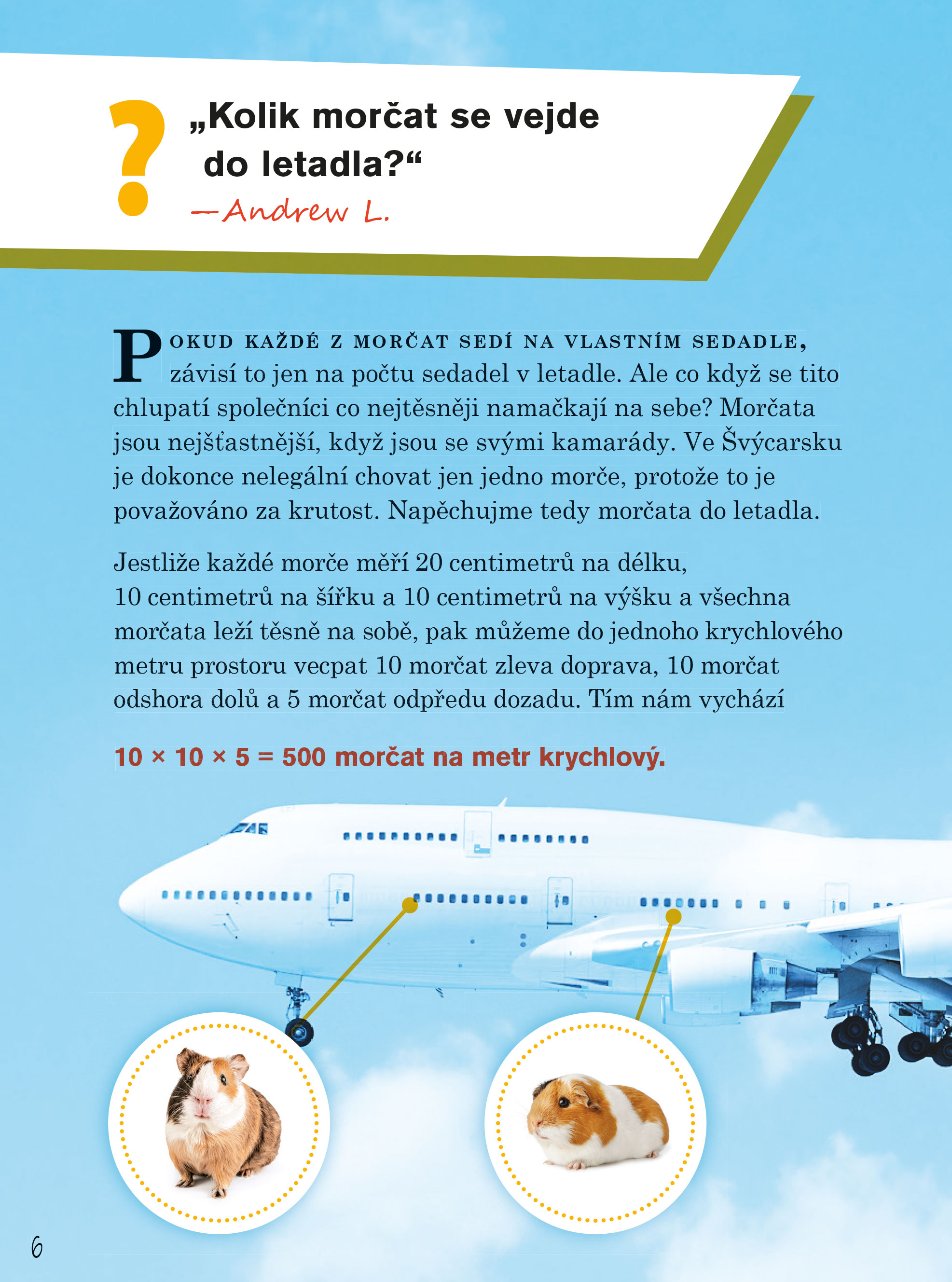 Kolik morčat se vejde do letadla?