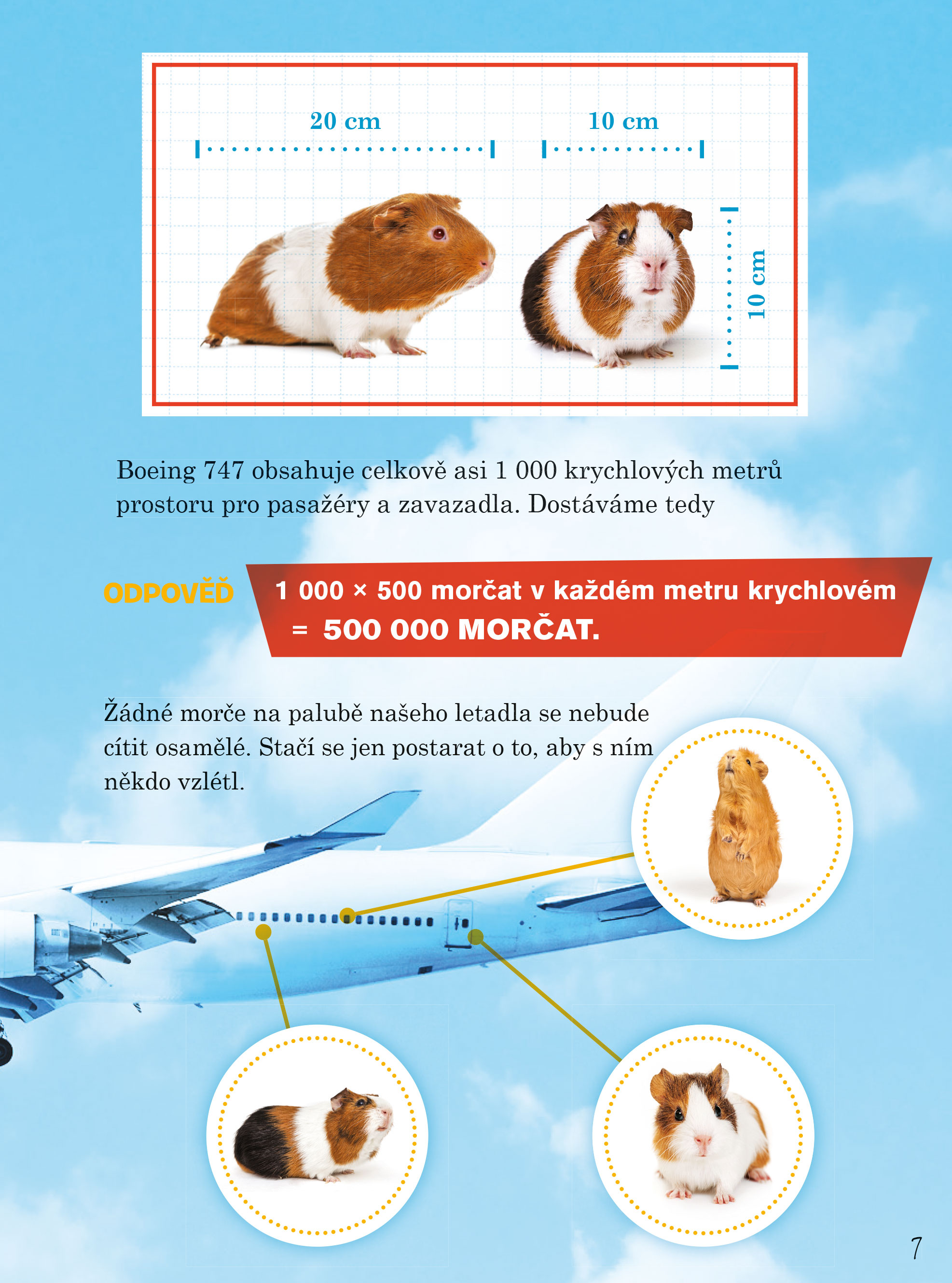 Kolik morčat se vejde do letadla?