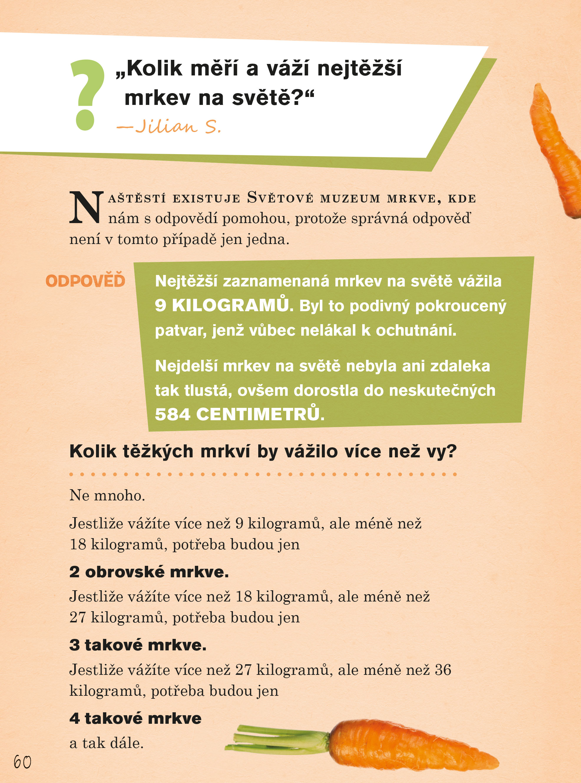 Kolik morčat se vejde do letadla?