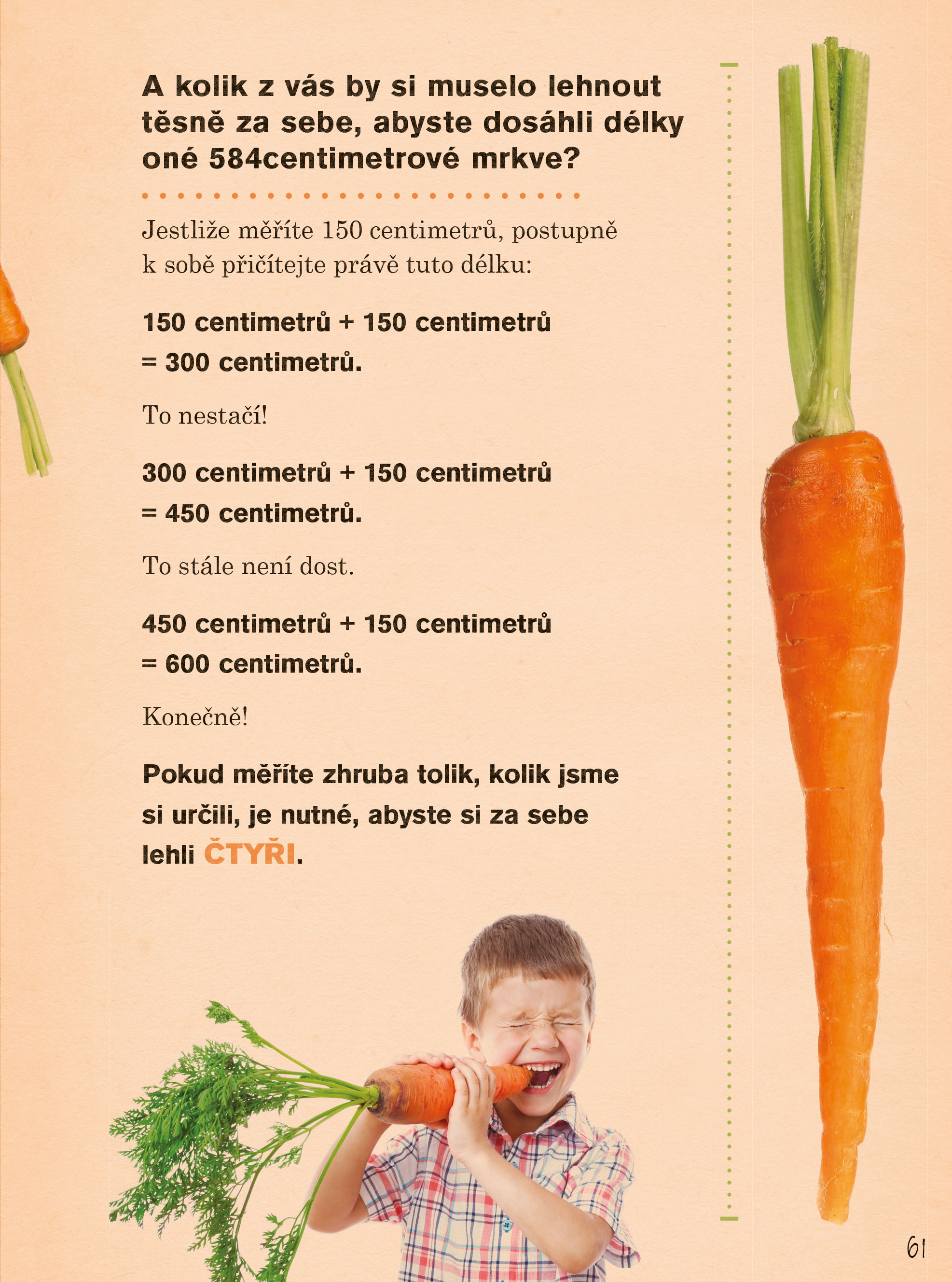 Kolik morčat se vejde do letadla?
