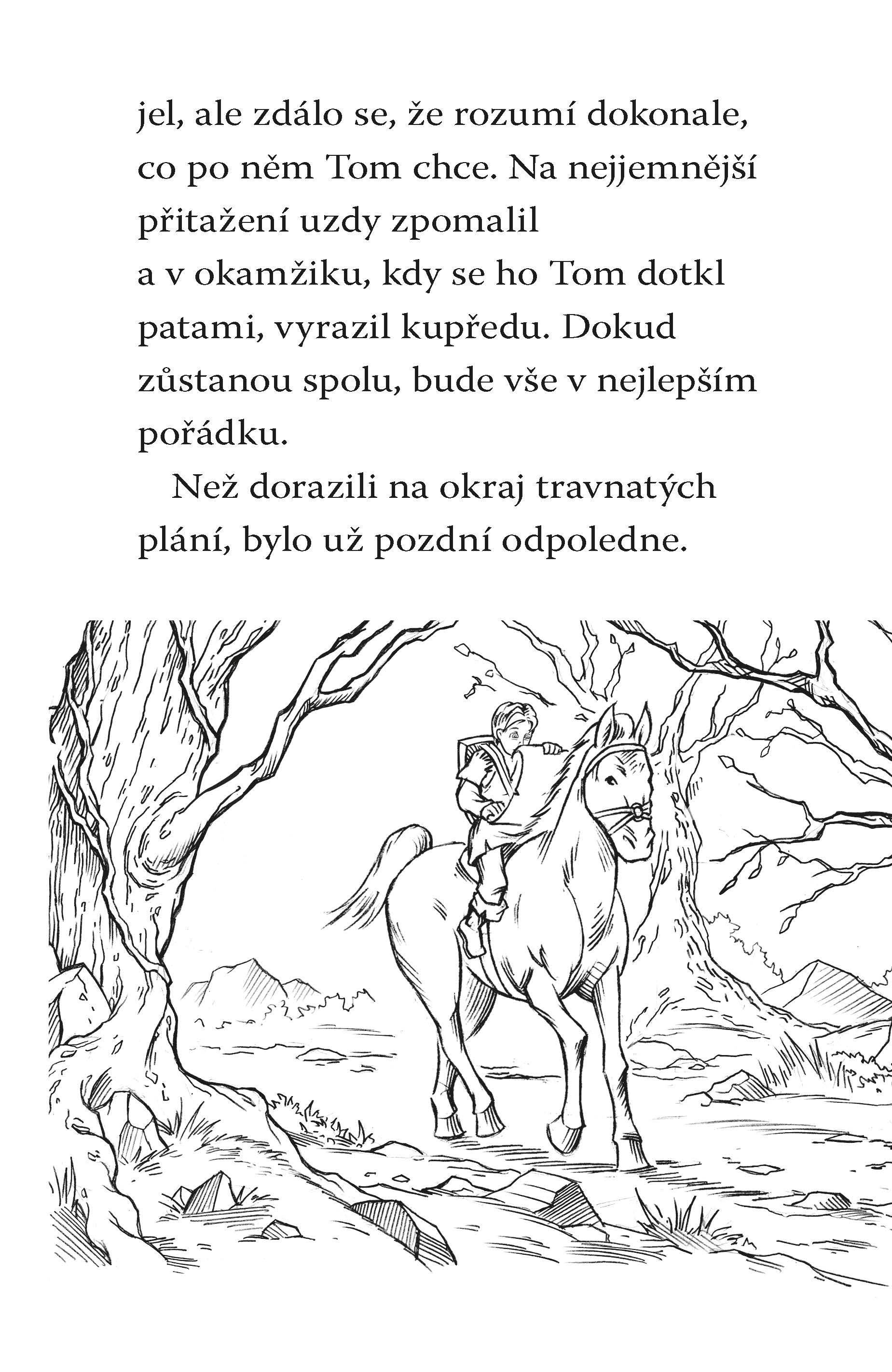 Ferno, ohnivý drak - Beast Quest (1)