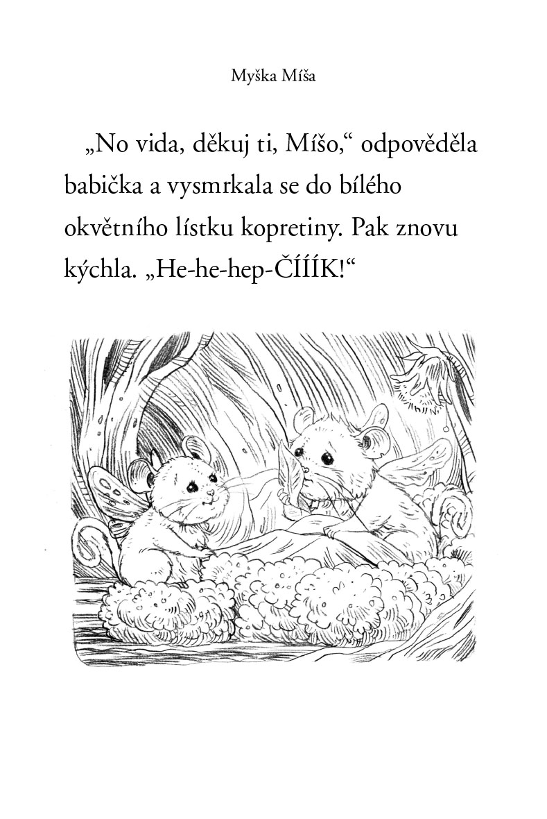 Zvířátka z Kouzelného lesa – Myška Míša