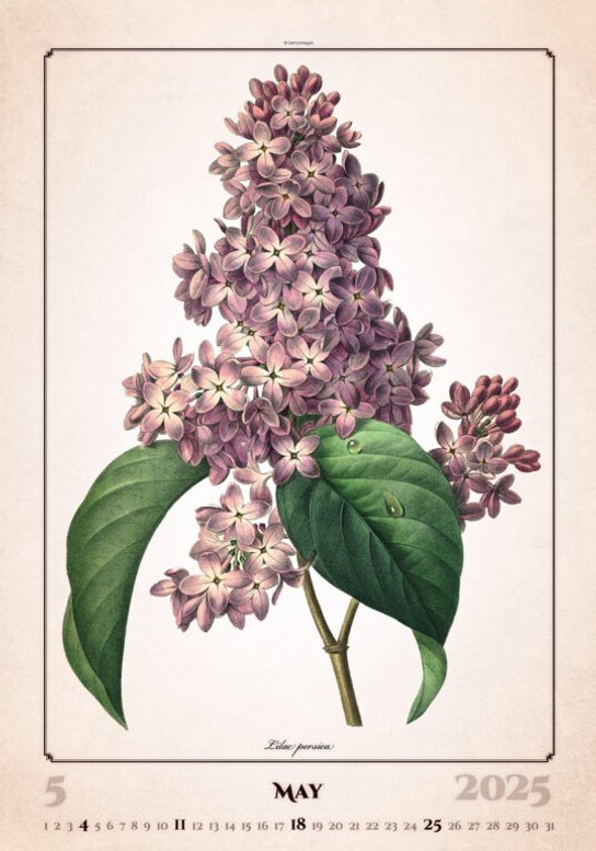 Herbarium 2025 - nástěnný kalendář