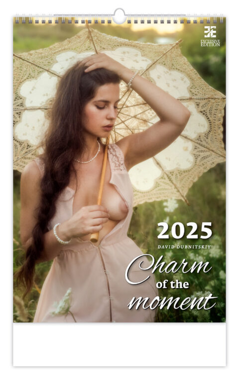 Charm of the Moment 2025 - nástěnný kalendář