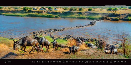 Panoramaphoto 2025 - nástěnný kalendář