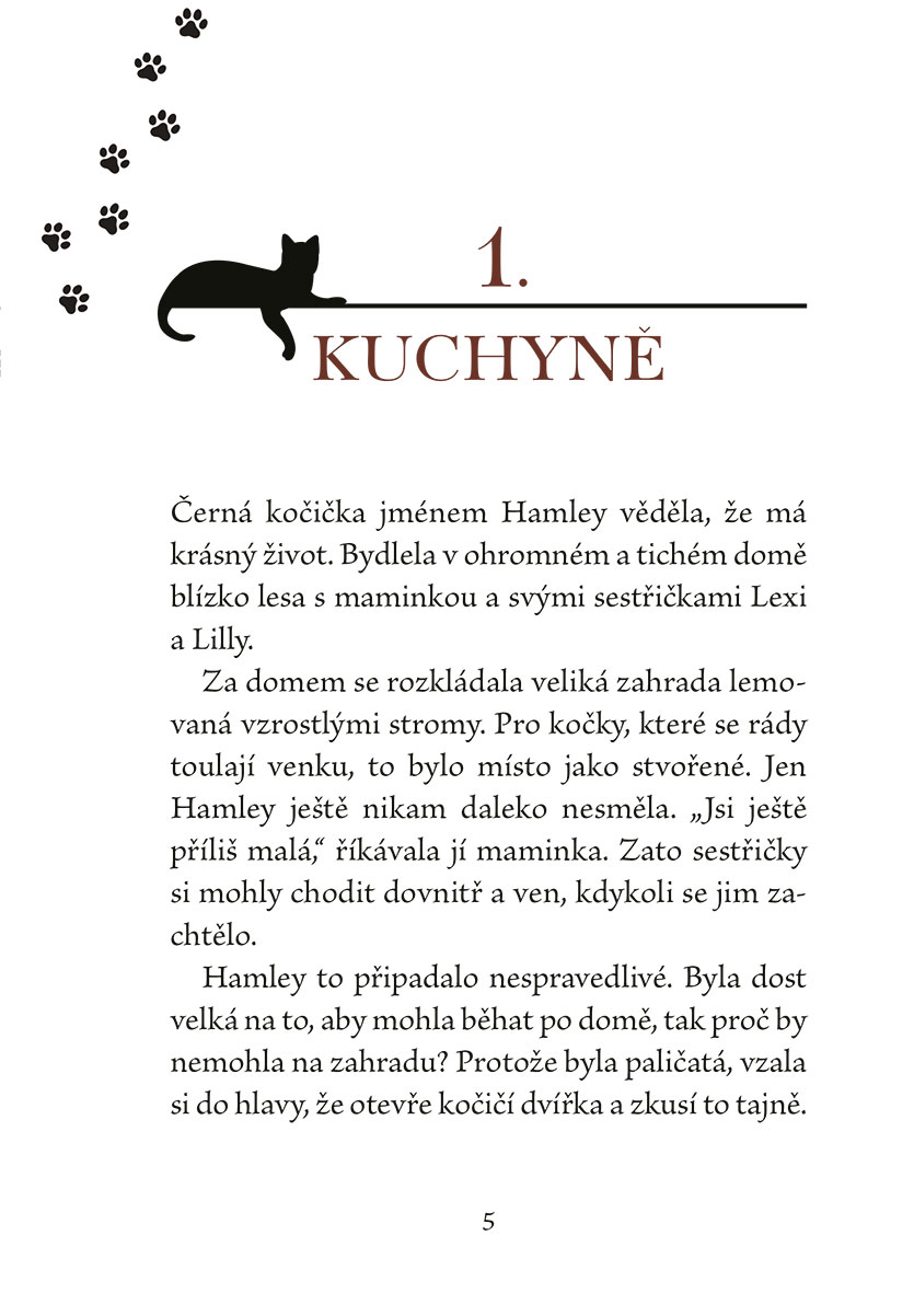 Kočička Hamley a narozeninový dort