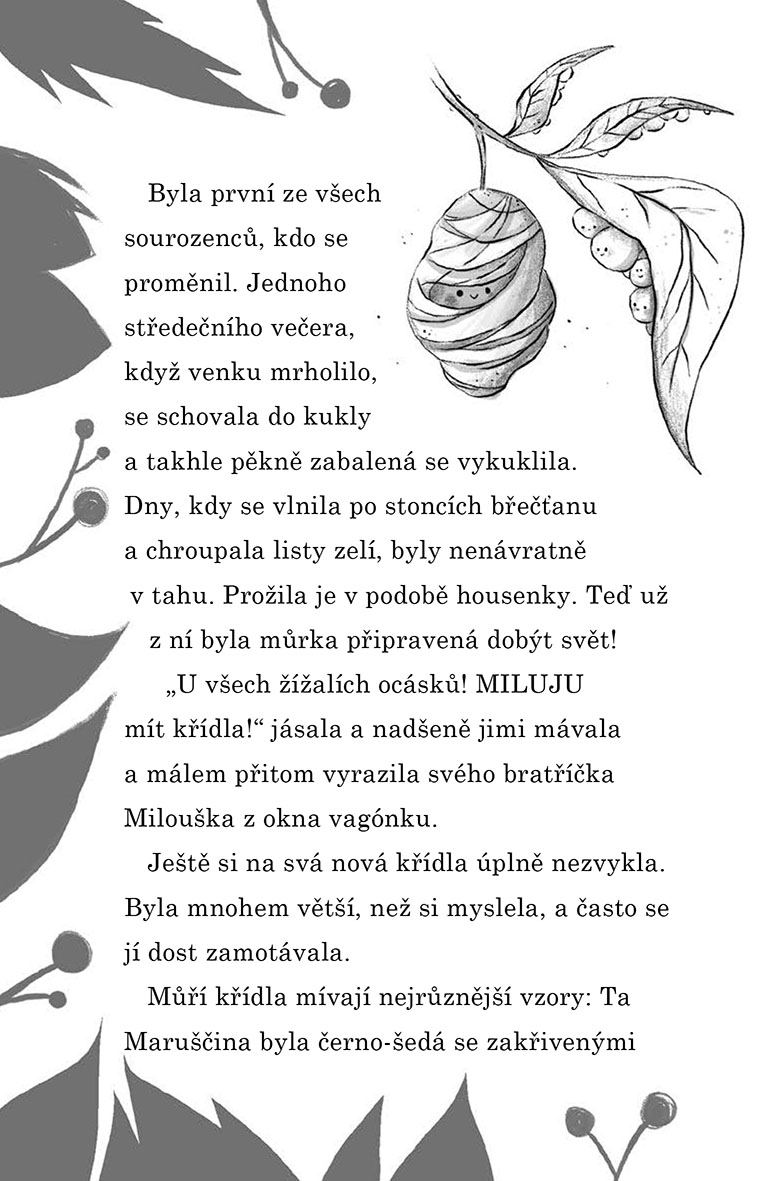 Maruška Půlnoční a Záhada Měsíce