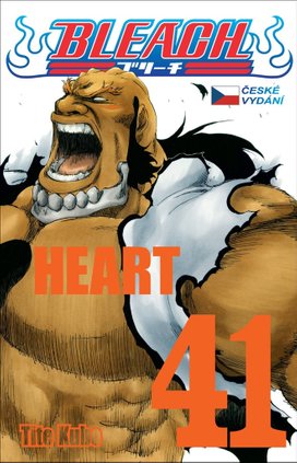 Bleach 41