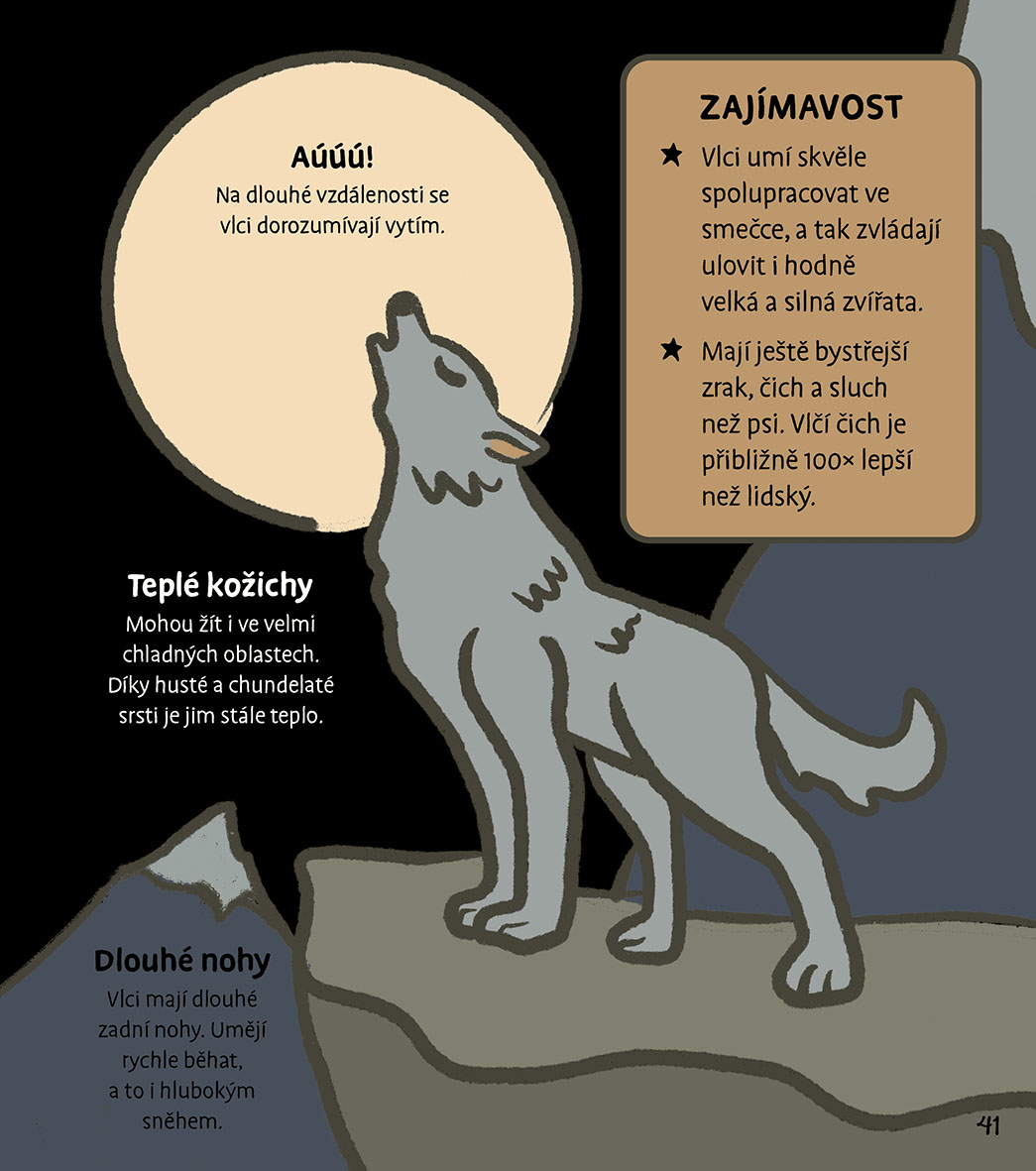 Kresli a objevuj zvířata