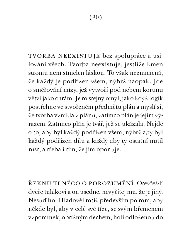 Kameny chrámu