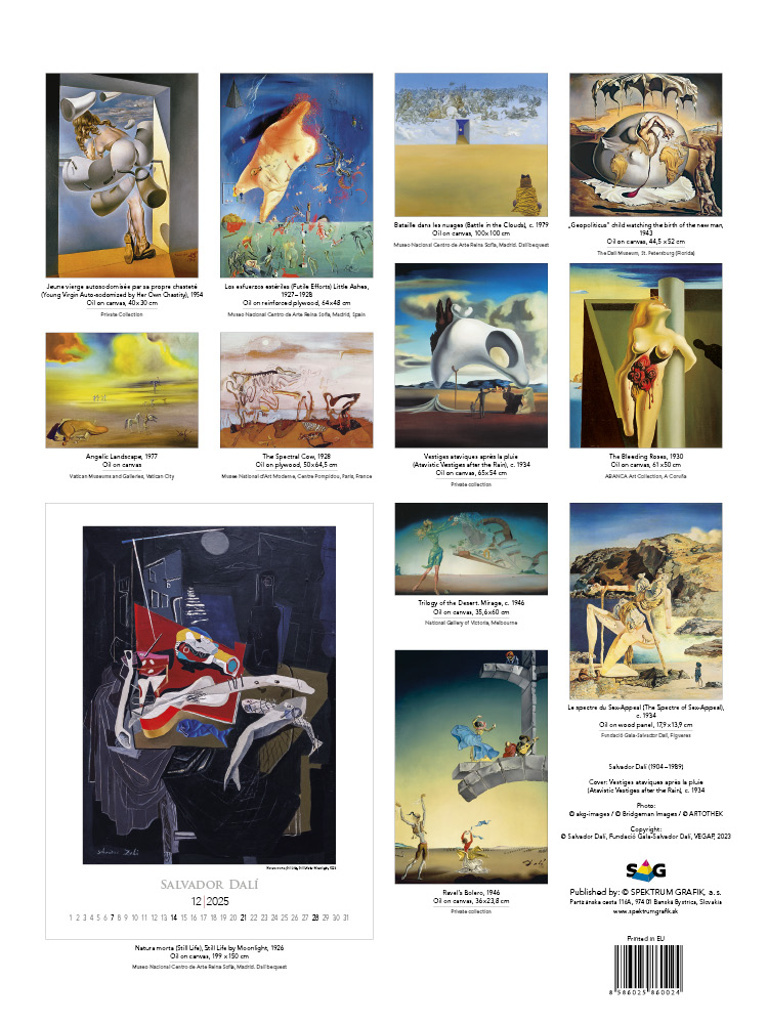 Salvador Dalí 2025 - nástěnný kalendář
