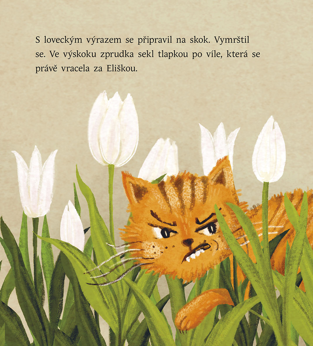 Jak motýlí víla ztratila jméno