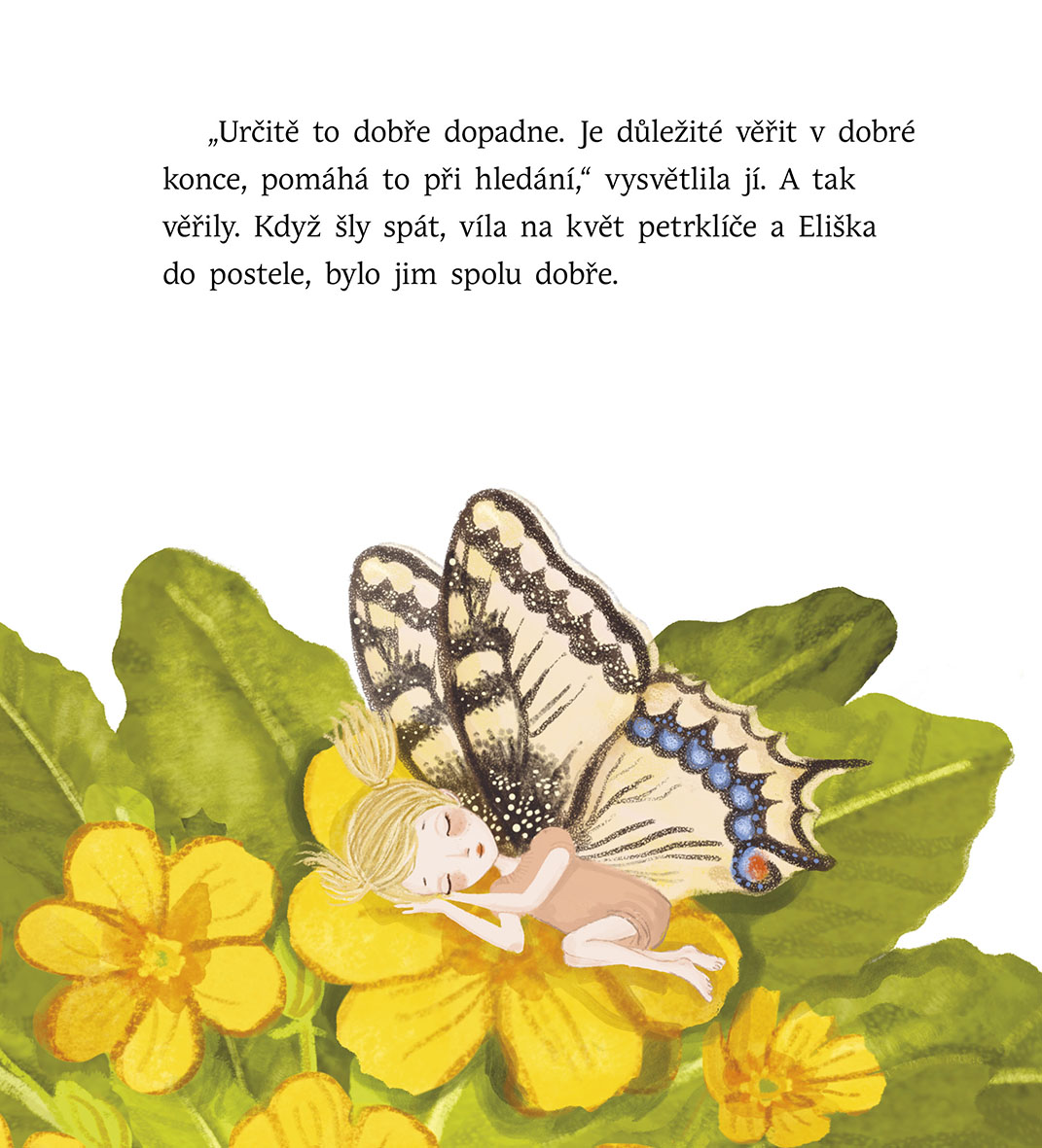 Jak motýlí víla ztratila jméno