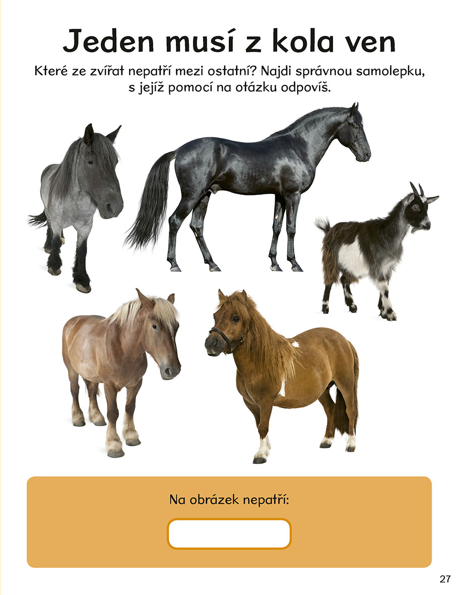 1000 samolepek – Koně