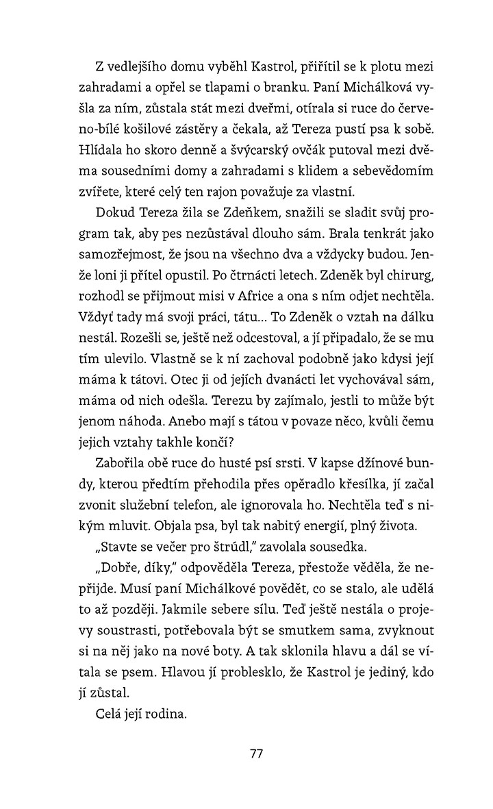 Letní slunovrat