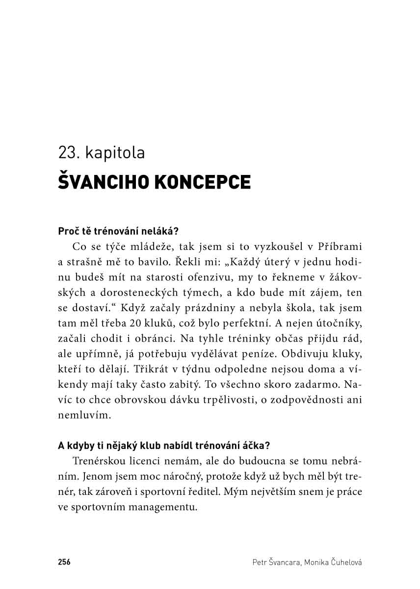 Mercedes Petr Švancara